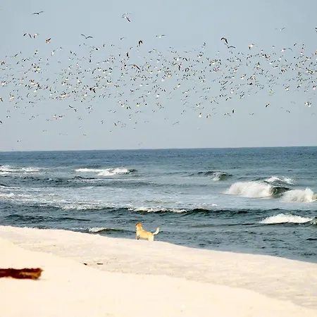 Апартаменты White Pearl 1.13